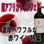 本日10時スタート！ 【南アフリカワインフェアー】 今回は『濃縮パワフル赤ワイン特集』 あの人気ワインも特別価格です♪