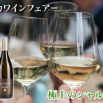 本日10時スタート！ 【南アフリカワインフェアー】 極上のシャルドネ特集！ あのシャルドネもセール特価です♪　2024年11月20日配信ワインニュースレター